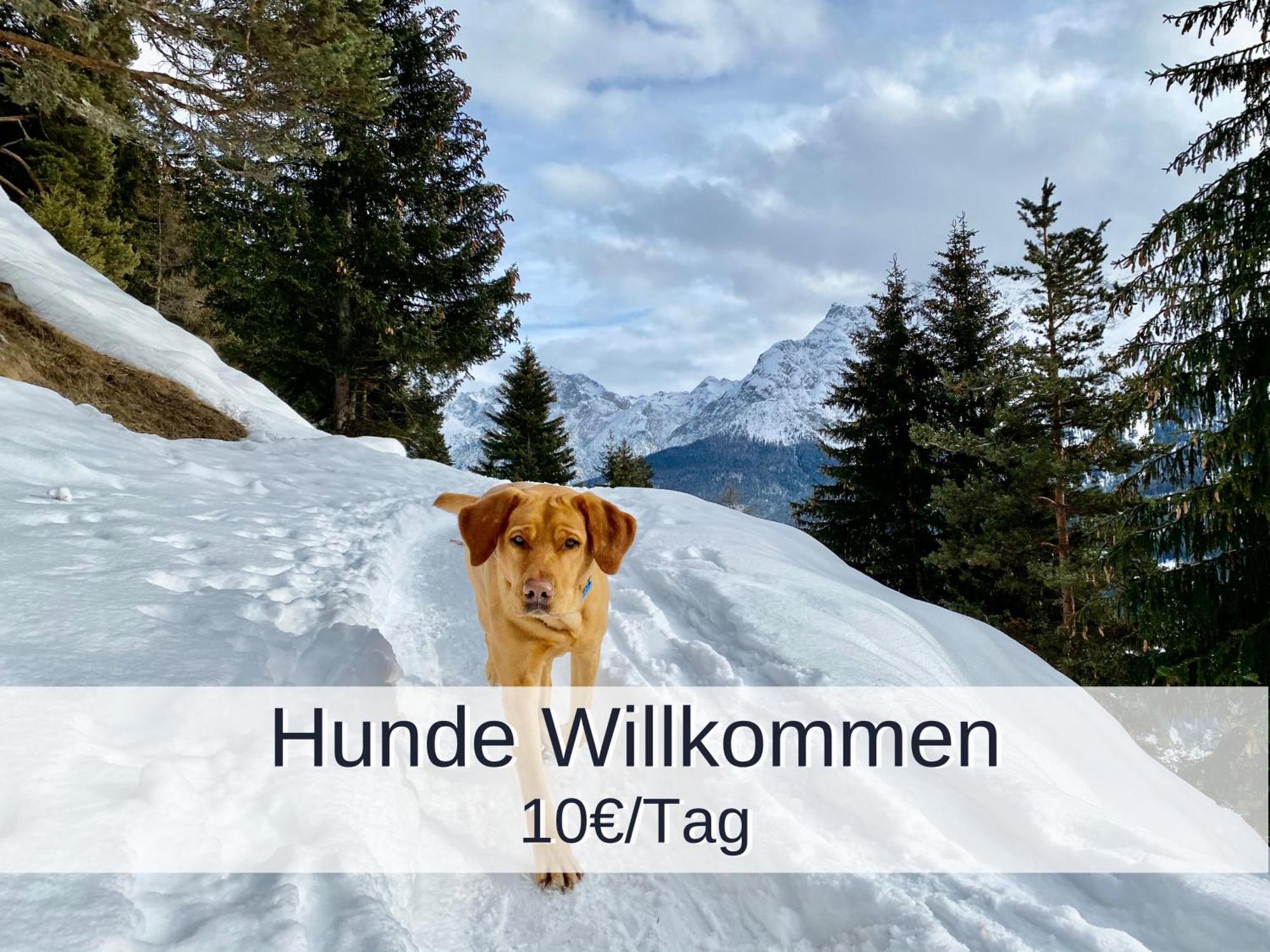 Ferienwohnung Rambold Sonnenterrasse Garmisch-Partenkirchen Luaran gambar
